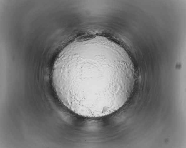 X0000091510315200709141400