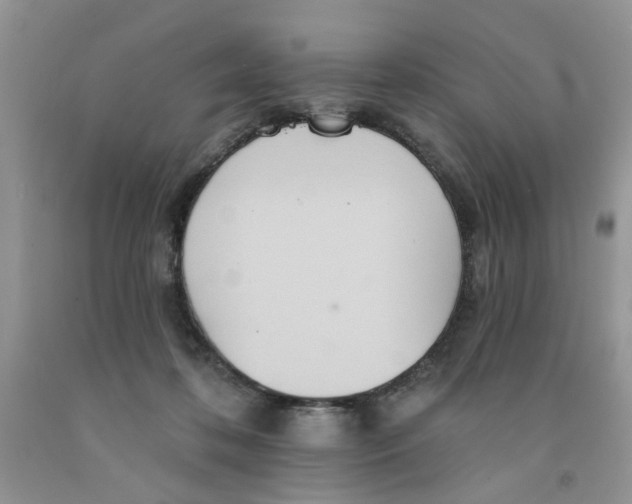 X0000091510316200709141400