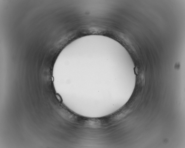 X0000091510317200709141400