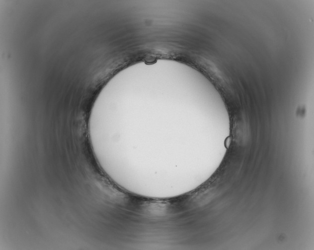 X0000091510318200709141400