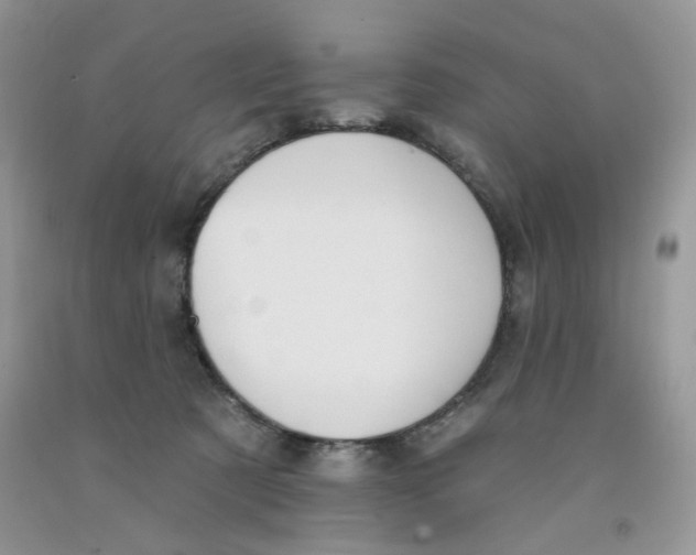 X0000091510321200709141400