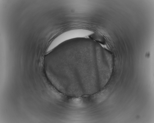 X0000091510325200709141400