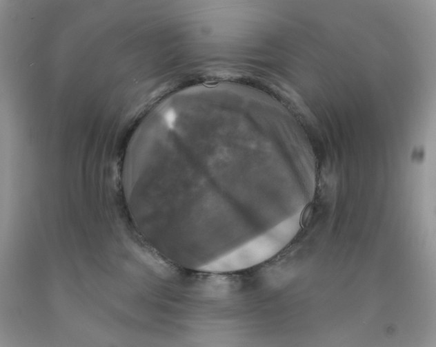 X0000091510330200709141400