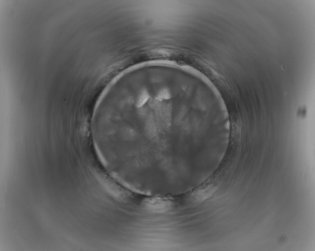 X0000091510331200709141400