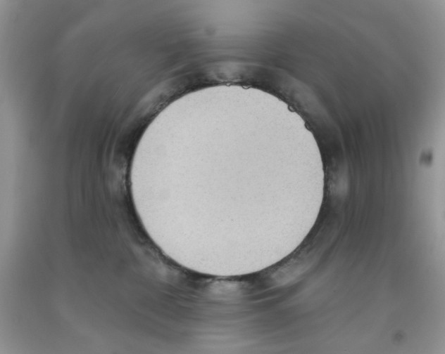 X0000091510332200709141400