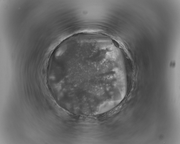 X0000091510337200709141359