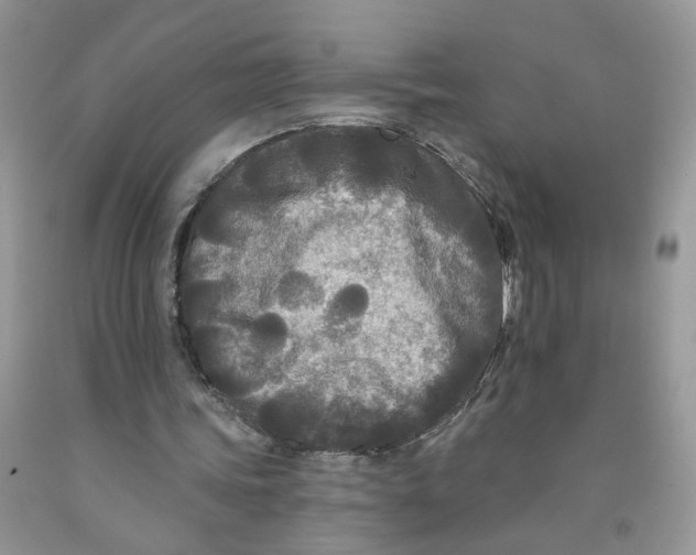 X0000091510339200709141359