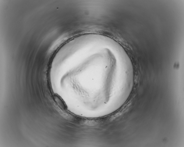 X0000091510341200709141359