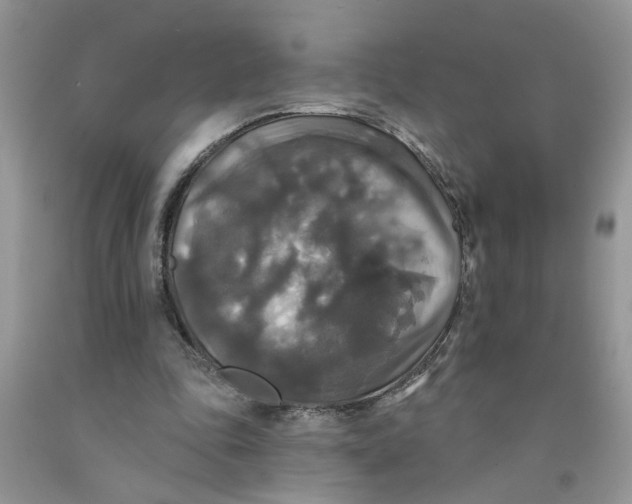 X0000091510343200709141359