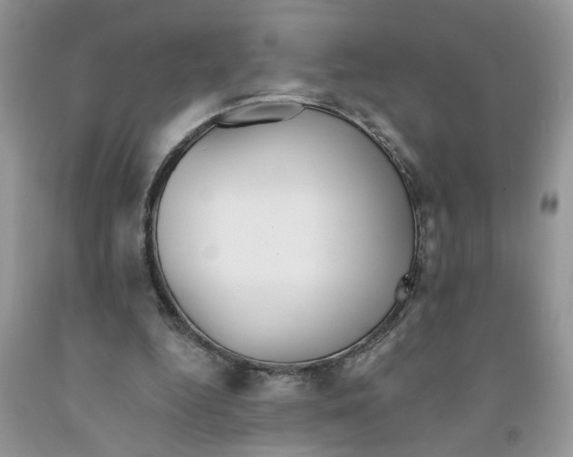 X0000091510344200709141359