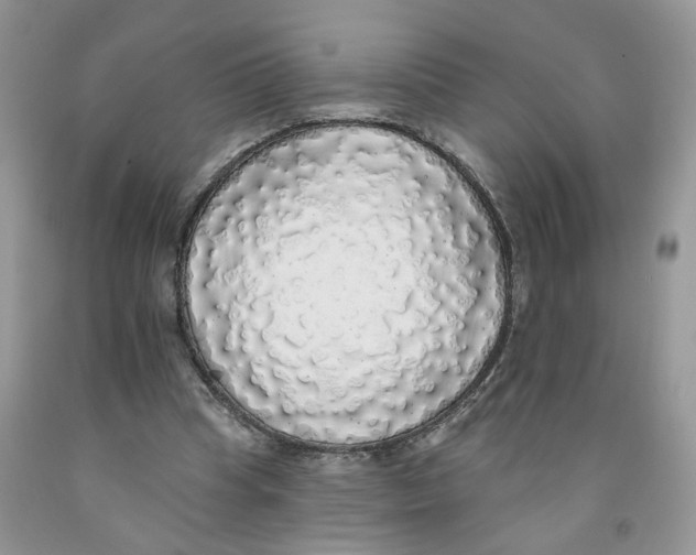 X0000091510345200709141359