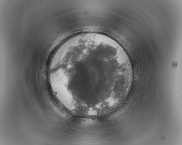 X0000091510347200709141359