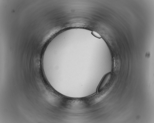 X0000091510348200709141359