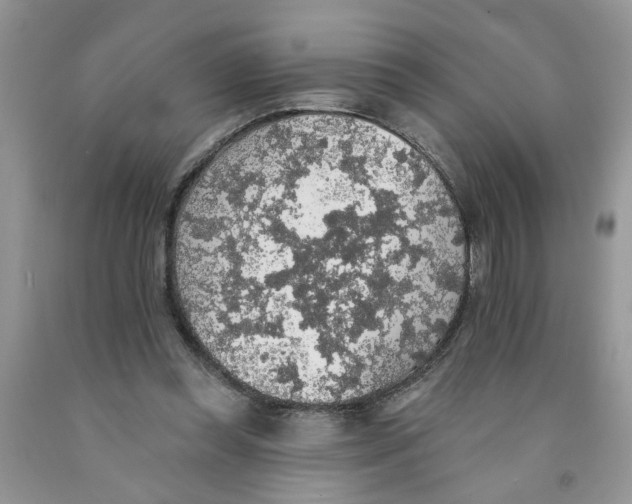 X0000091510349200709141359