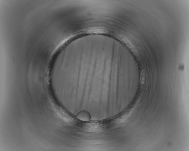 X0000091510351200709141359