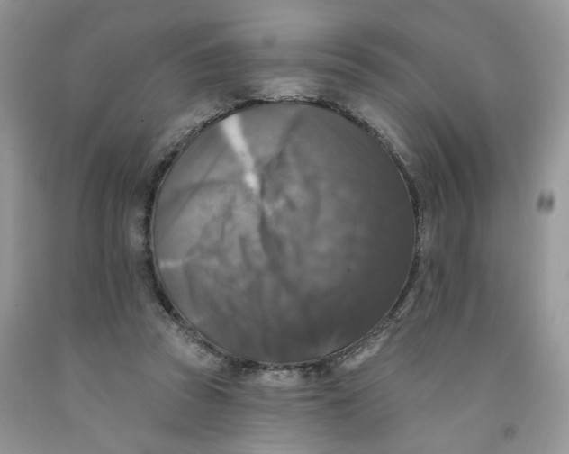 X0000091510353200709141359