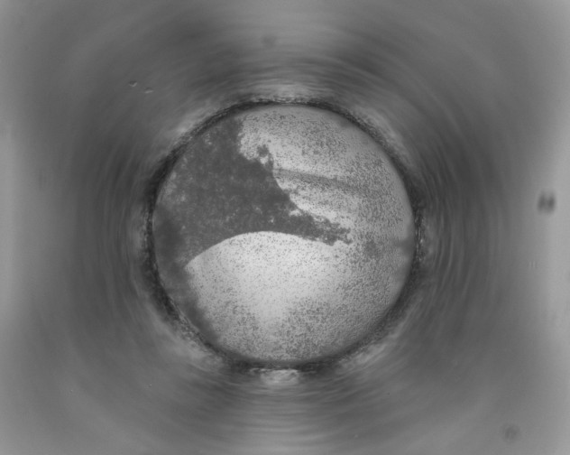 X0000091510355200709141359