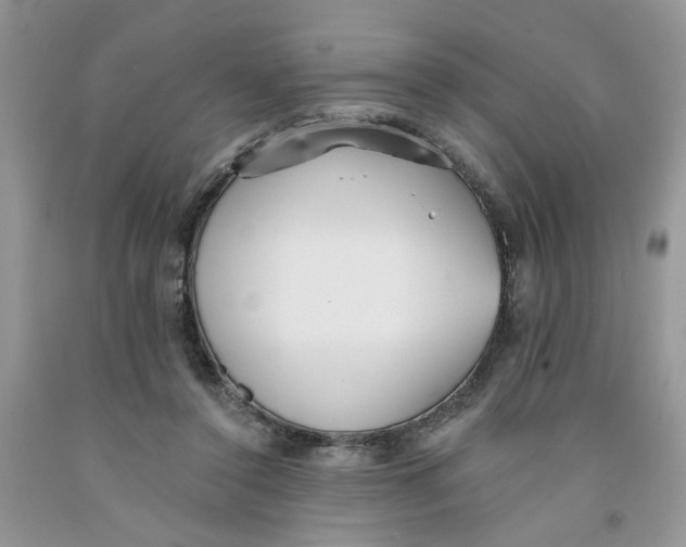 X0000091510356200709141359