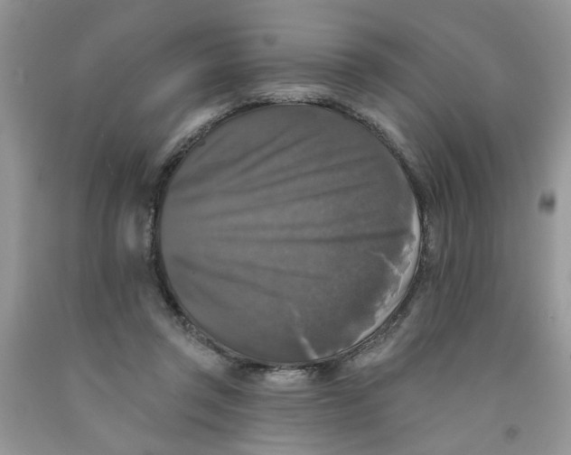 X0000091510357200709141359