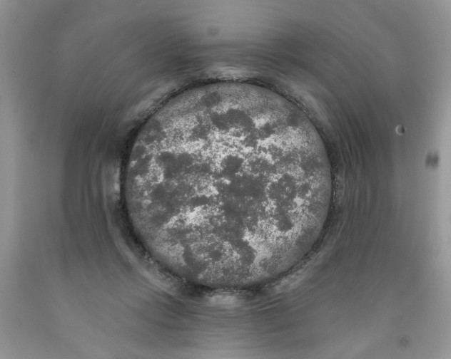 X0000091510358200709141359