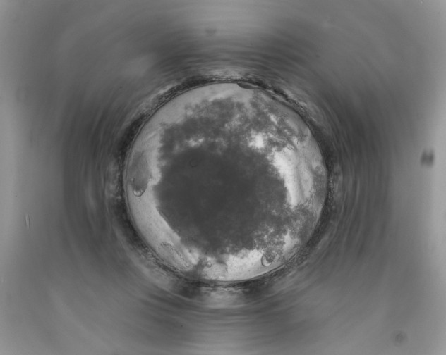 X0000091510359200709141359