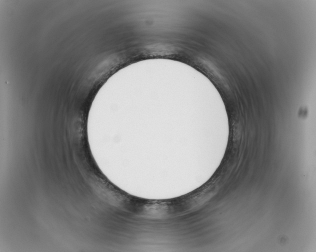 X0000091510362200709141359