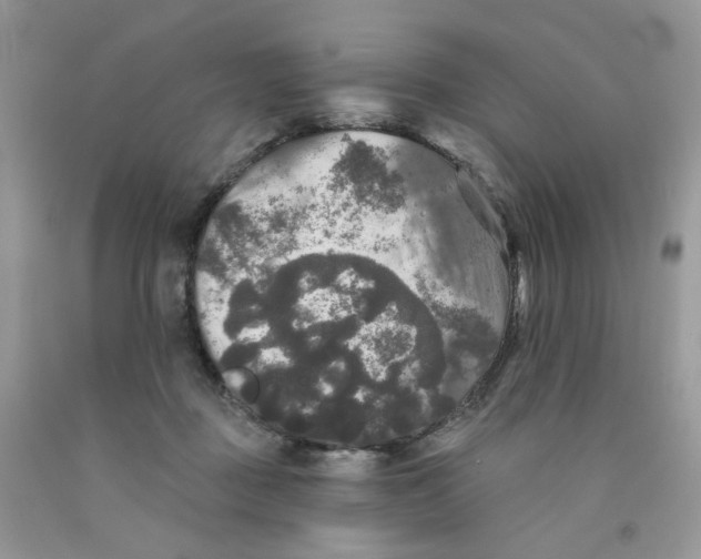 X0000091510363200709141359