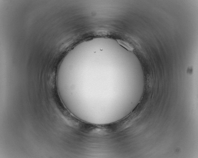 X0000091510364200709141359