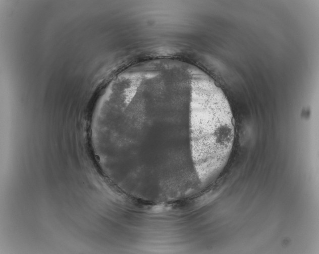 X0000091510366200709141359