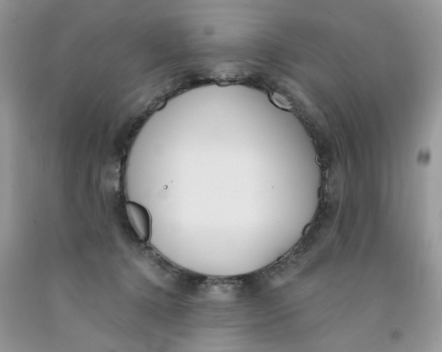 X0000091510368200709141359