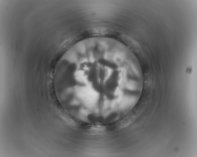 X0000091510369200709141359