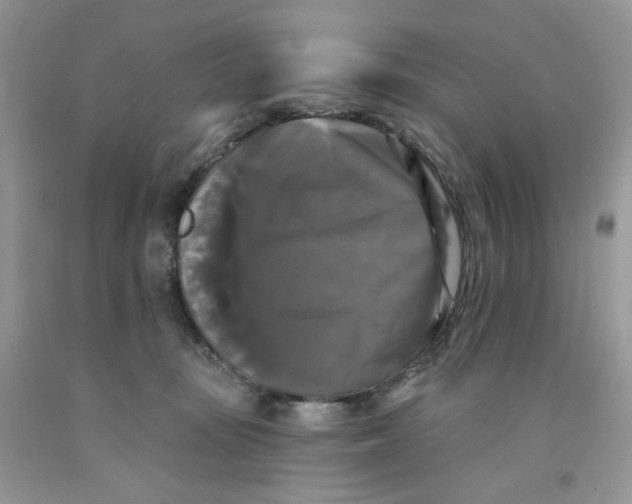 X0000091510371200709141359