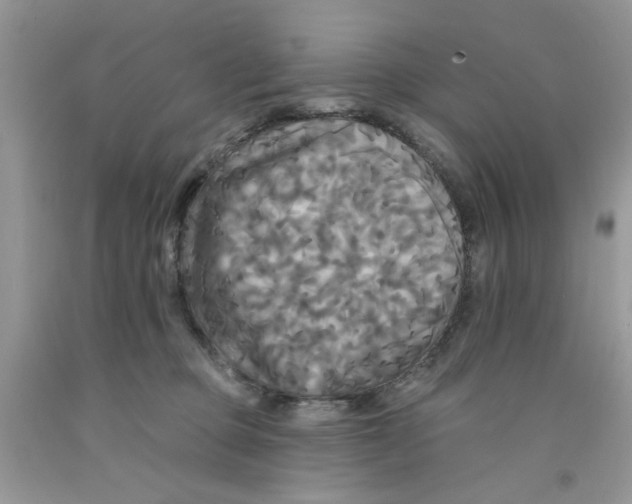 X0000091510373200709141359