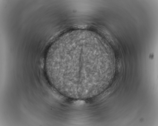 X0000091510374200709141359