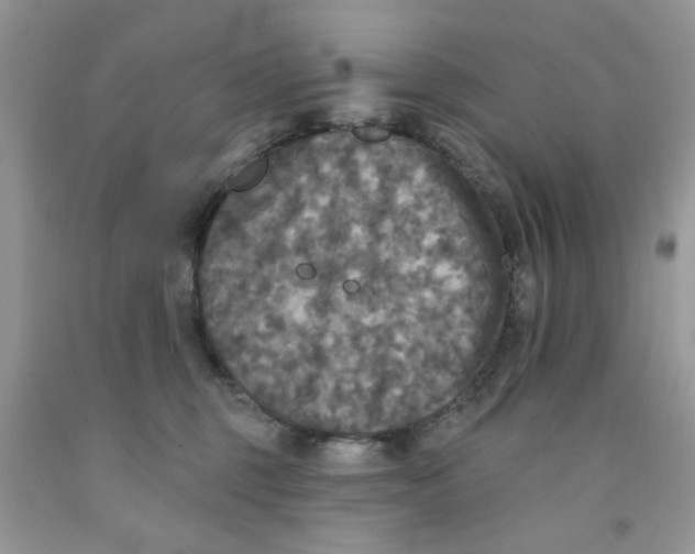 X0000091510375200709141359