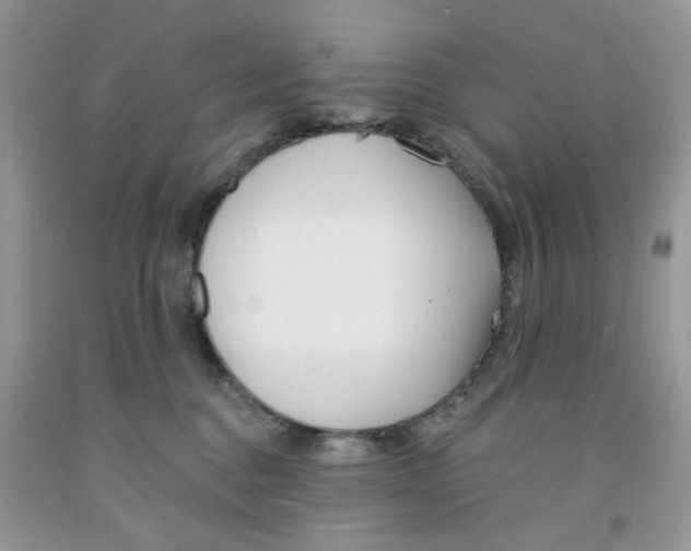 X0000091510376200709141359