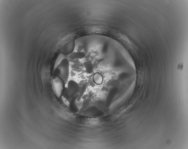 X0000091510377200709141400