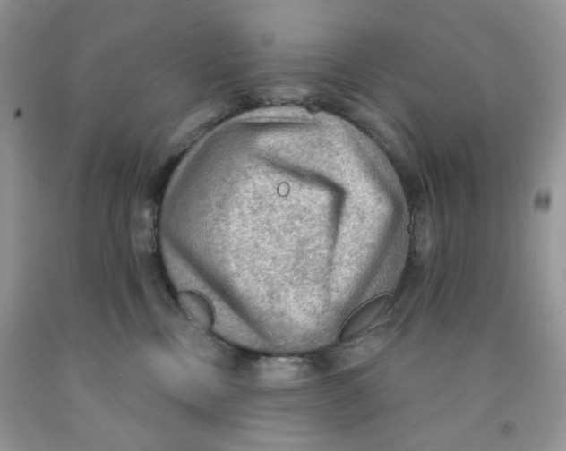 X0000091510378200709141400