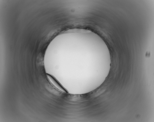 X0000091510384200709141400