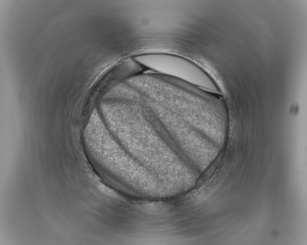 X0000091510385200709141359