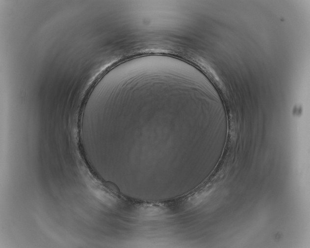 X0000091510386200709141359