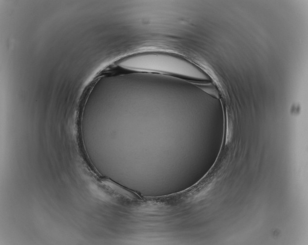 X0000091510387200709141359