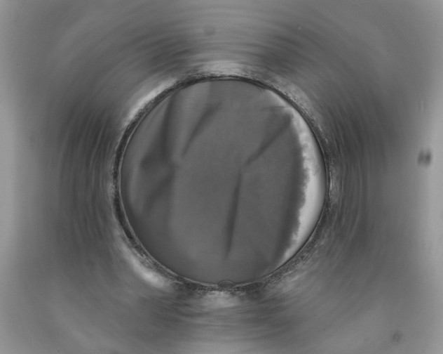 X0000091510390200709141359