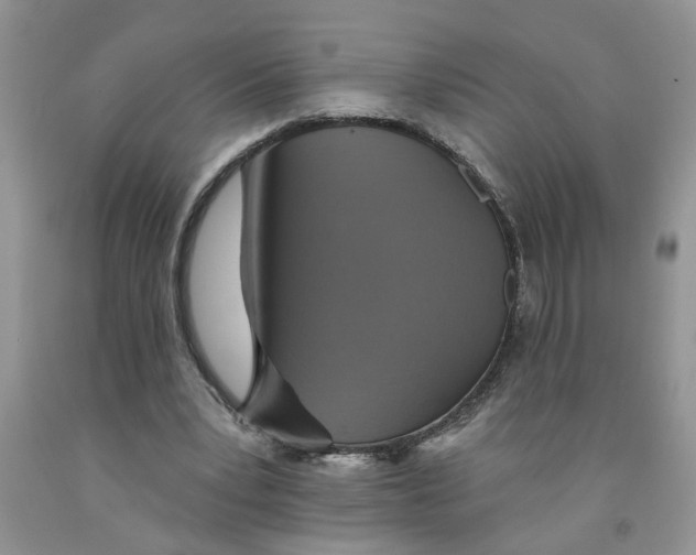 X0000091510391200709141359