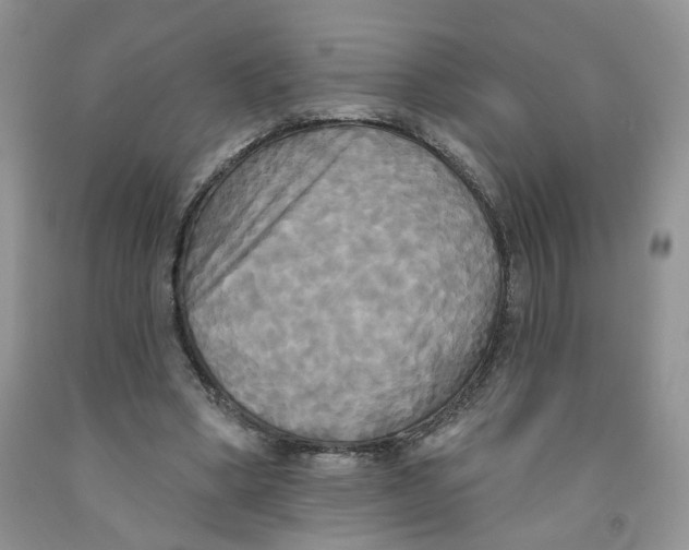 X0000091510394200709141359