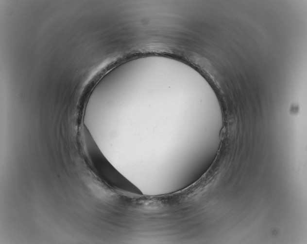 X0000091510395200709141359