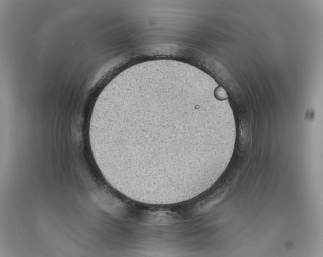 X0000091510396200709141359