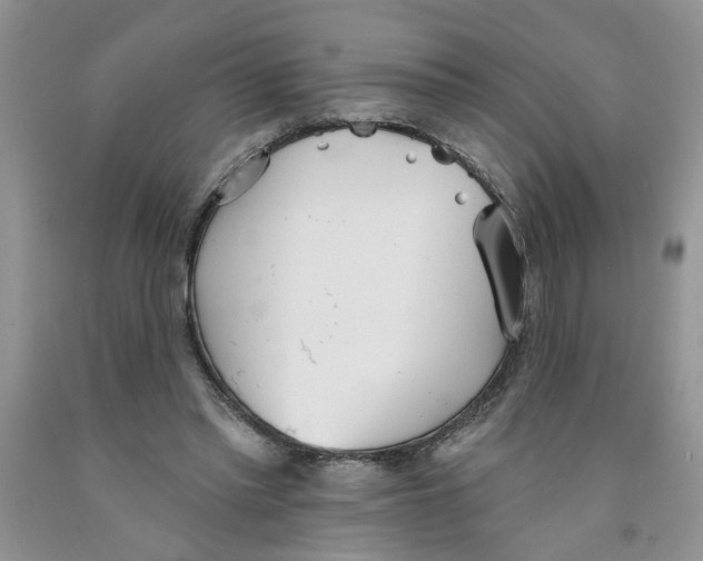 X0000091510397200709141359