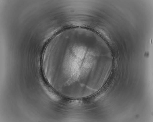 X0000091510398200709141359