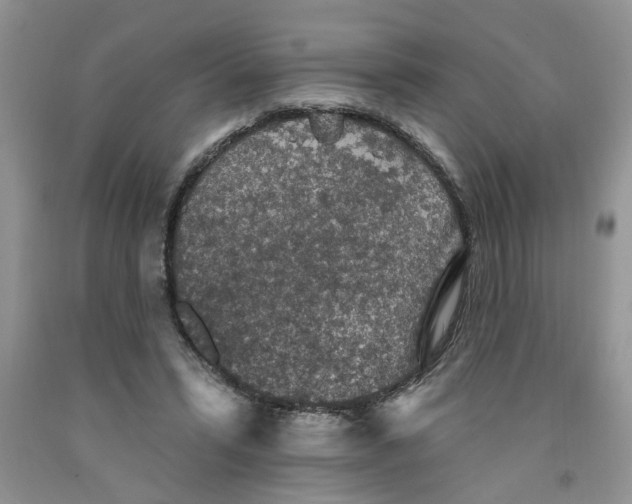 X0000091510399200709141359